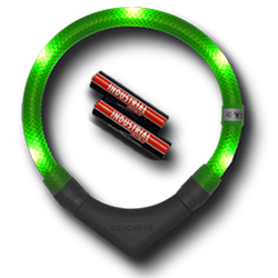 LED dog collar LEUCHTIE Plus