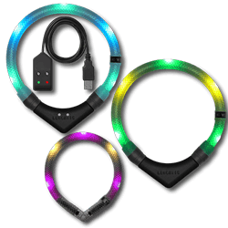 LEUCHTIE LED dog collar as multicolor models LEUCHTIE LED dog collar as multicolor models