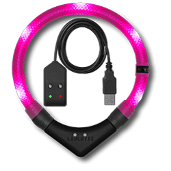 LED dog collar LEUCHTIE Easy Charge